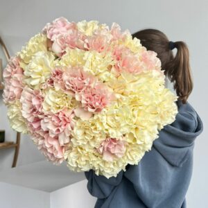 Mondial & Pink Mondial